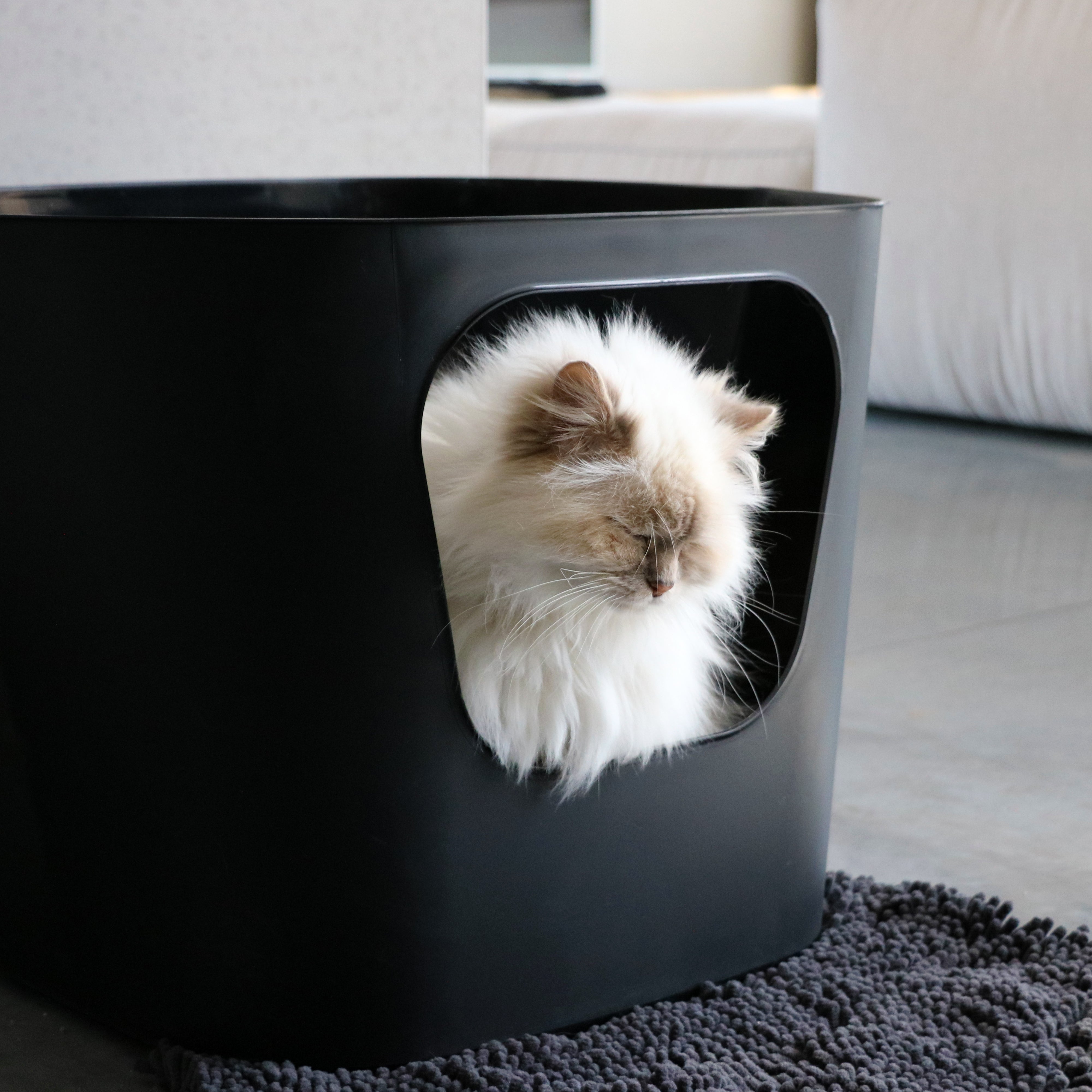 DEAN Open kattenbak (B2B)