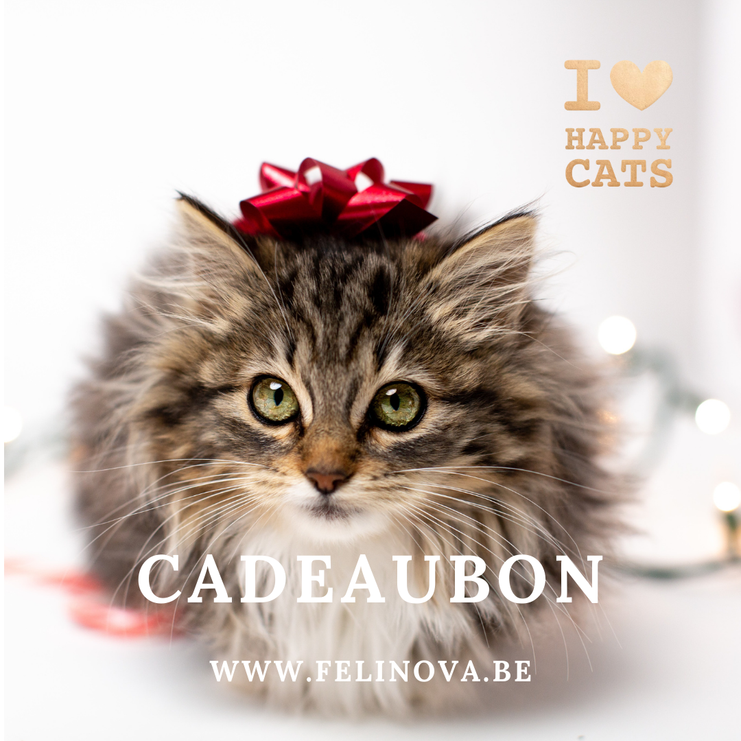 Happy Cats Cadeaubon