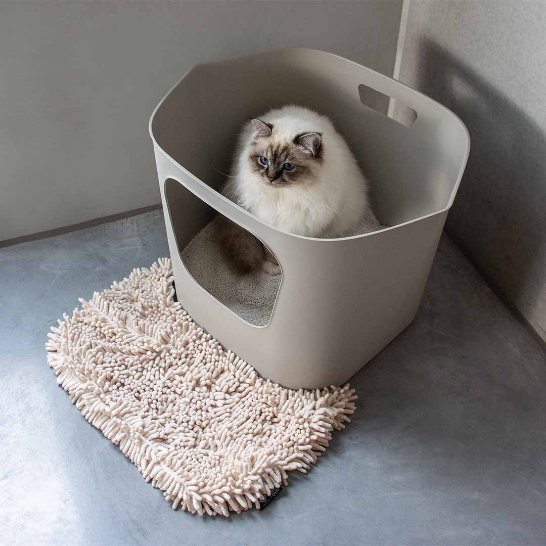 Kattenbakset Dean
