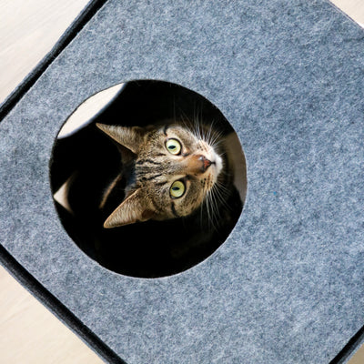 NALA Vilten speelkubus