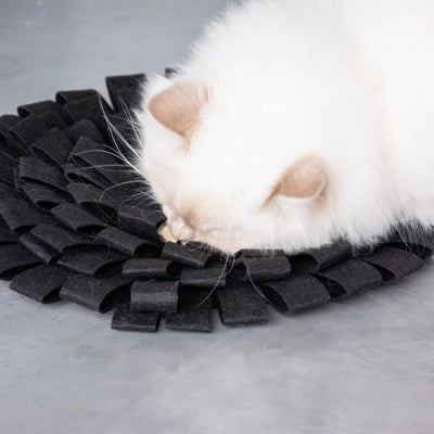 Suzy - sniffing mat black