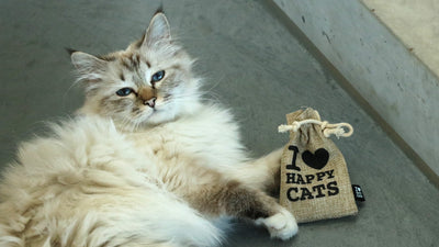 HAPPY CATS Buideltje met kruidenmix
