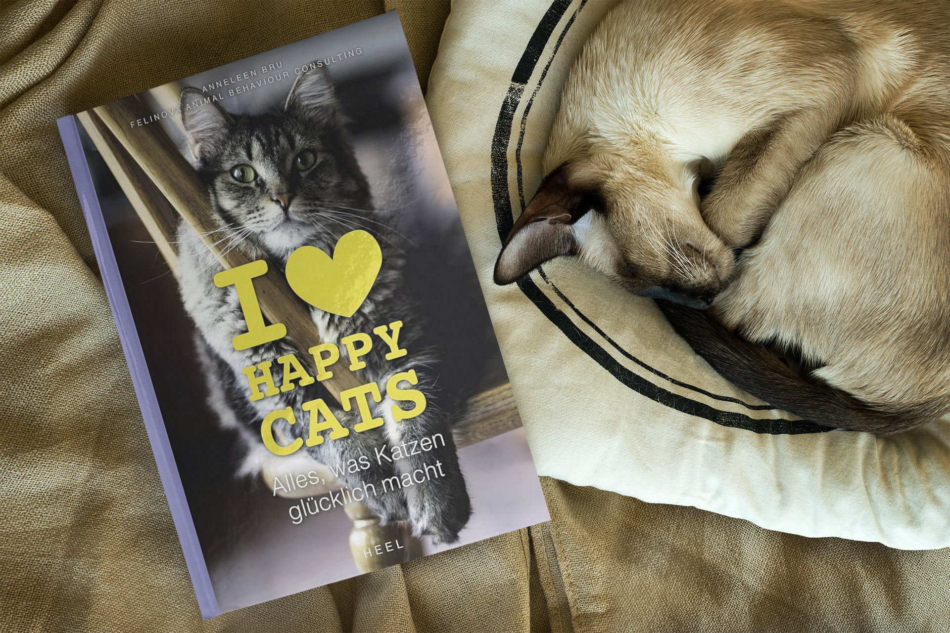 I Love Happy Cats - Everything that Makes Cats Happy