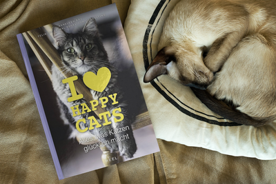 I Love Happy Cats - Everything that Makes Cats Happy