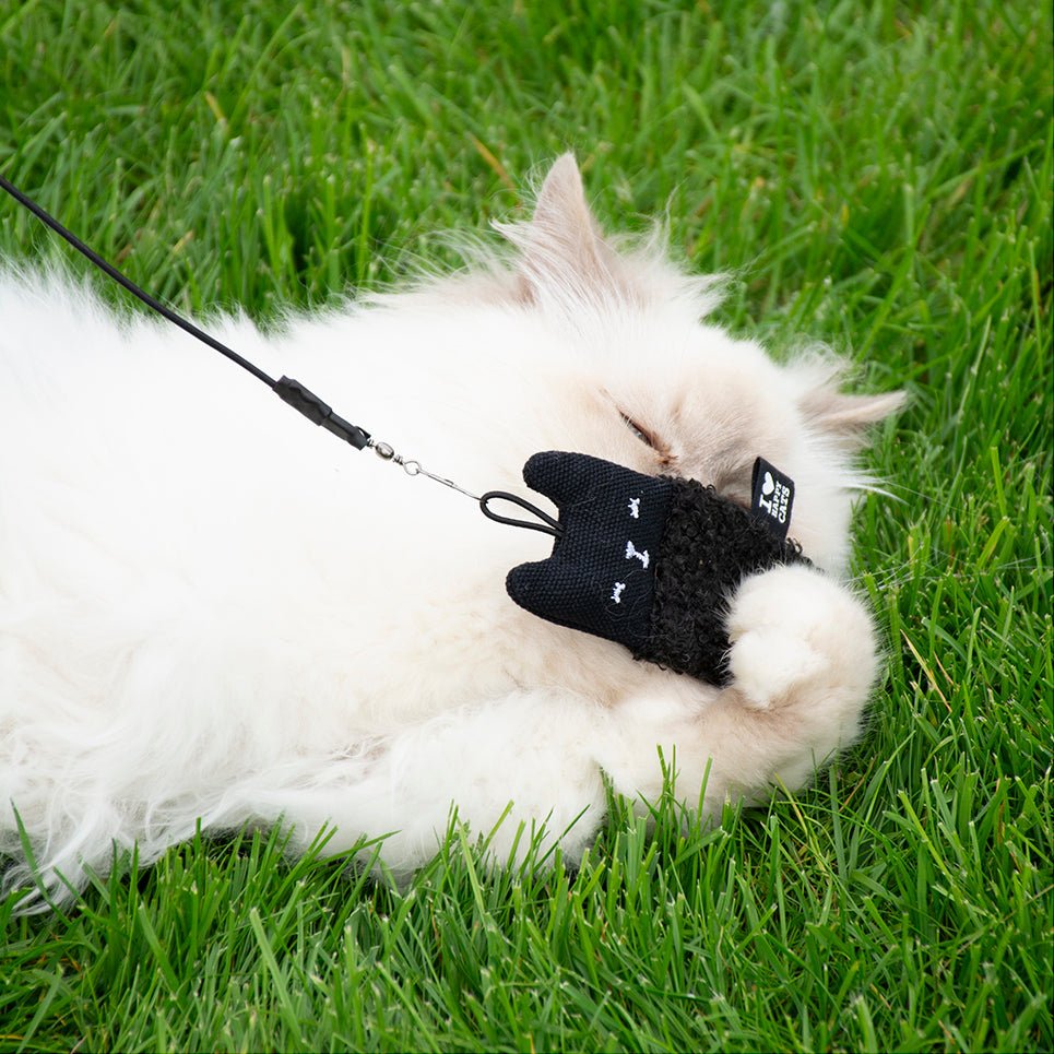 ALFIE Kattenspeeltjes