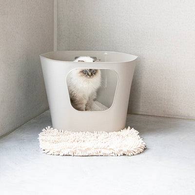 Kattenbakset Dean