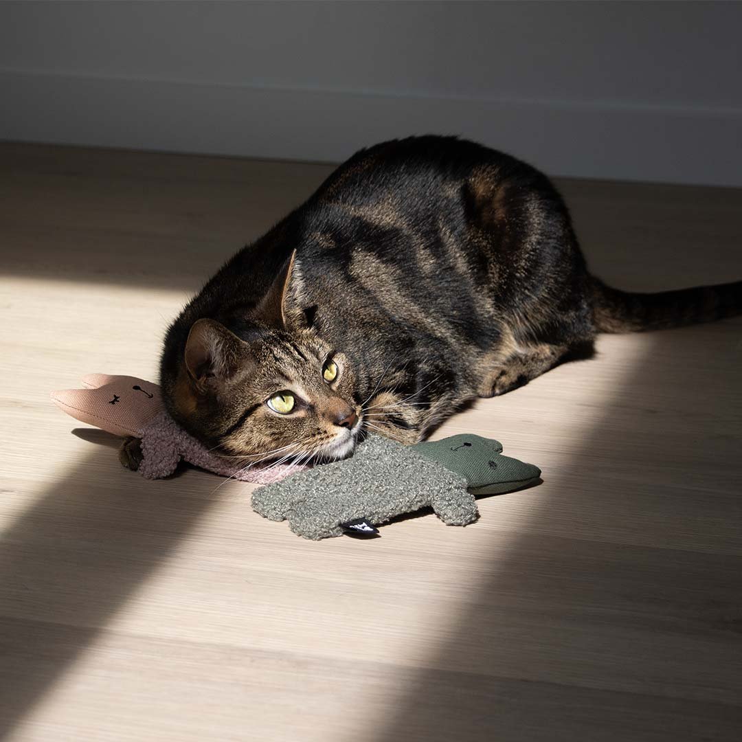 ALFIE XL - Kattenspeeltje